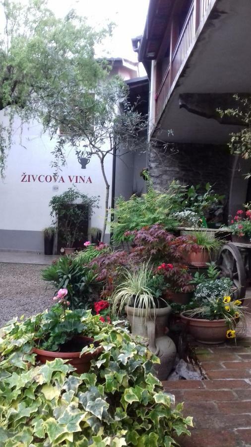 Apartmaji Pri Zivcovih Dutovlje Экстерьер фото