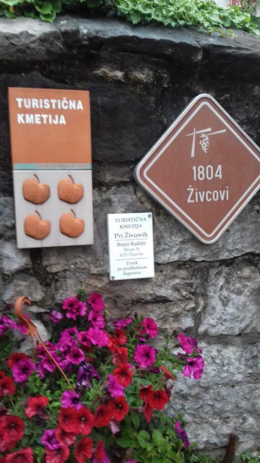 Apartmaji Pri Zivcovih Dutovlje Экстерьер фото